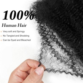 16 INCH Afro Kinkys Curly Human Hair Bulk For Twist 2 Bundles Afro Kinkys Bulk Human Hair For Mini Twist Hair Bulk Human Braiding Hair For Micro Locs Extensions Natural Black (16inchs 1B, 2 Bundles)
