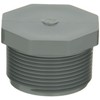 GF Piping Systems CPVC Pipe Fitting, Plug, Schedule 80, Gray,