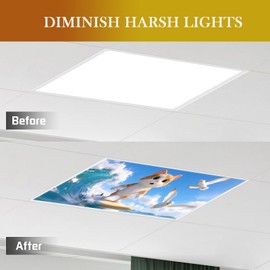 2 Pcs Fluorescent Light Cover Classroom Lighting Cover with 10 Magnets Light Filter Magnetic Ceiling Panel Decoration 2 x 4 ft Reduce Glare for Office School(Surfing Cat)