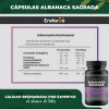 Albahaca Sagrada 60 Capsulas 500 Mg Tulsi