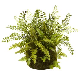 Nearly Natural Mixed Fern with Twig and Moss Basket