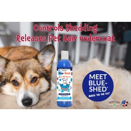 South Bark Blue-Shed® Shampoo for Dogs & Cats 12 oz. | Brightening | Deshedding | Long-Lasting, Fruity Scent | Cruelty-Free | Paraben-Free | Biodegradable and Non-Toxic | Made in USA