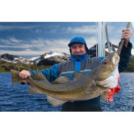 Fishing Weights, Pencil Drop Shot Fishing Sinkers, 85Pcs/90Pcs with Glowing Fishing Beads Assortment Kit- 3.5g 5g 7g 10g 14g 20g - - No Snag Skinny Pencil Shaped Lead Weight - for Bottom Fishing