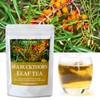 100% Natural Sea Buckthorn Leaf Tea, 40 Count, Premium Sea