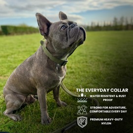BULLYBREED Tactical Dog Collar – Heavy Duty Dog Collar, Waterproof Dog Collar, Dog Collars for Small Dogs, Dog Training Collar, Quick-Release Metal Buckle, Adjustable Sizes (Khaki Green, Small)