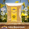 Rani Yellow Mustard Seeds Whole Spice 14oz (400g) ~ Ideal