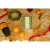 Caspari Lacquer Guest Towel Napkin Holder in Silver - 1