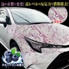 Prostaff Car Wash Supplies, Iron Powder Removal, Car Shampoo, Monster