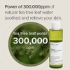 Mary&May [Mary&May]Vegan CICA Tea Tree AHA PHA Blemish Toner 200ml