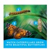 NATIONAL GEOGRAPHIC Butterfly Growing Kit - Butterfly Habitat Kit with