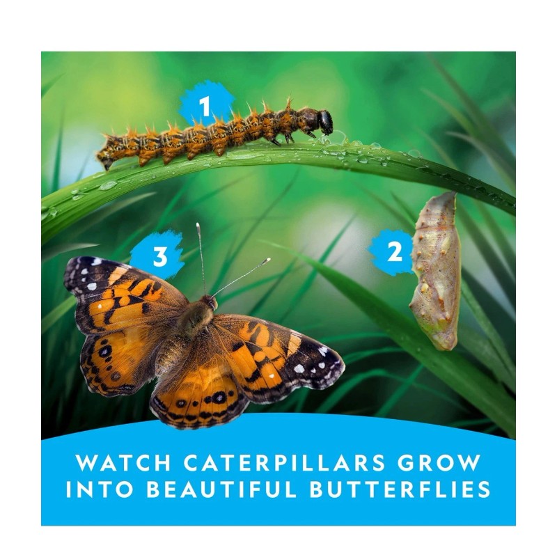 NATIONAL GEOGRAPHIC Butterfly Growing Kit - Butterfly Habitat Kit with