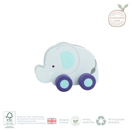 Orange Tree Toys OTT07931 Wooden Push Toy, Multicolour