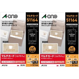 A-One 51164 Multi-Card Cash Card Size, Thick, Set of 2