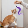 FdcLixuvol Cat Worm Toy Refills, 10 PCS Cat Wand Attachments