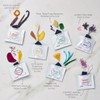 7 Chakra Incense Brick Gift Set by Aromafume | 14