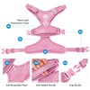 Hipubby Dog Harness Medium Sized Dog, No Pull Pet Harness