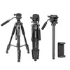 65" Camera Tripod,Q310 Lightweight Travel Portable Cell Phone Tripod Stand