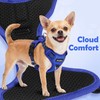 Funfox Dog Harness Medium No Pull, Adjustable 2 Clips Anti-Pull