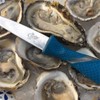 CUDA 3.5" Shucking Knife | Titanium Bonded Rust & Corrosion