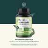 Probióticos 60 Billones Life360+ 240 Cápsulas a Base de Inulina