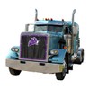 Premium Purple Pete Bug Screen Fits Peterbilt 359