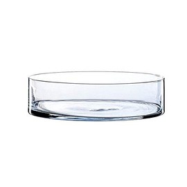 WGV Cylinder Vase Bulk, Open Width 12", Height 6", Clear Flat Pan Style Container, Planter Terrarium, Floral Centerpiece for Wedding Party Event, Home Office Decor, 4 Pieces