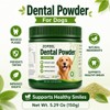 Dental Powder for Dogs, Dog Breath Freshener & Teeth Cleaning