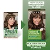 Clairol Natural Instincts Demi-Permanent Hair Dye, 6A Light Cool Brown