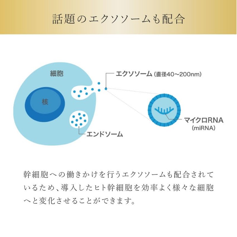 HITOYURAI+30 Hitoyurai Premium Face Mask