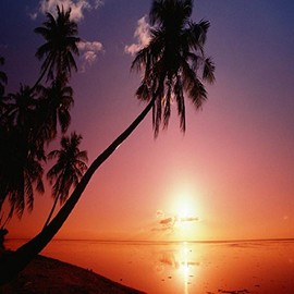 HAWAIIAN BREEZE FRAGRANCE OIL - 8 OZ - FOR CANDLE & SOAP MAKING BY VIRGINIA CANDLE SUPPLY - FREE S&H IN USA