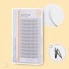 bllash BL Lash Original W Lash Strand Self Eyelash Extension