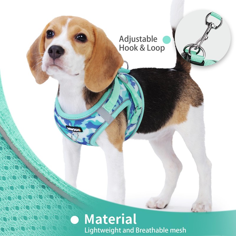 Jolifield Step in Dog Harness with Leash Set, Adjustable Soft