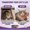 Egdusns Cat Calming Diffuser Kit with 2 Diffusers and 4