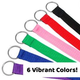 Downtown Pet Supply 6 Foot Slip Lead, Slip Leads, Kennel Leads Bulk Dog Leashes with O Ring for Dog Pet Animal Control Grooming, Shelter, Rescues, Vet, Veterinarian, (12 Pack, Colors: Various)