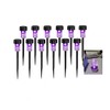 NEWOTE 12PCS Purple LED Outdoor Lights Plastics Garden Solar Powered