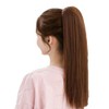 Jocolate Wig, Ponytail, Ribbon Extension, Straight, Medium, Semi-Long, Black, Black
