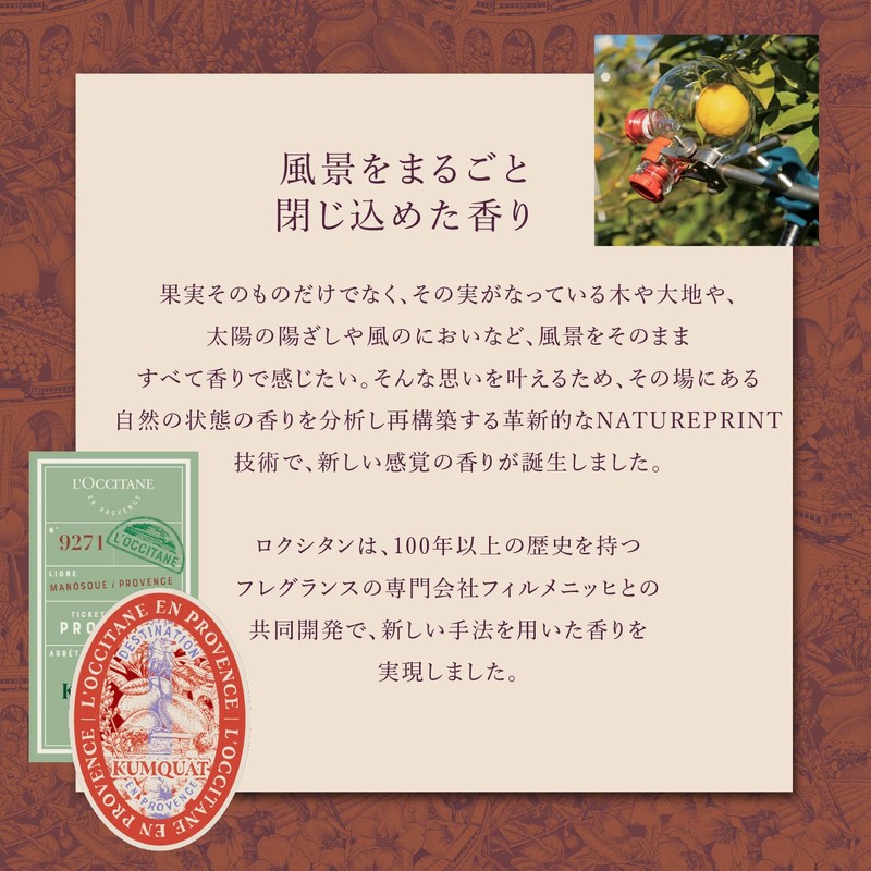 L'Occitane Camquat Snowshea Complete Gift Set, Christmas Present, Gift, Unisex,