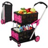 Foldable Utility Cart with Wheels,2 Layers Multifunctional Folding Cart for