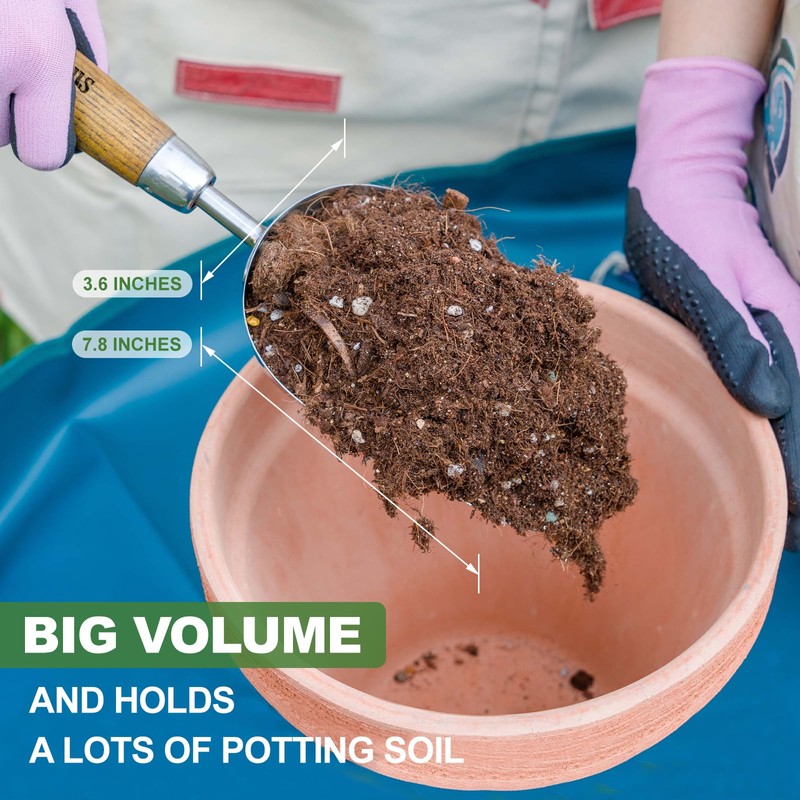 Haliaeetus Potting Soil Scoop, Bend-Proof Stainless Steel Garden Scoop, 1