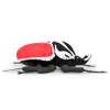 Goliathus Regius Plush,9.8 '' Royal Goliath Beetle Stuffed Animal,Birthday Gifts