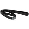 Metzger 6PK1736 DAYCO Keilrippenriemen, Schwarz