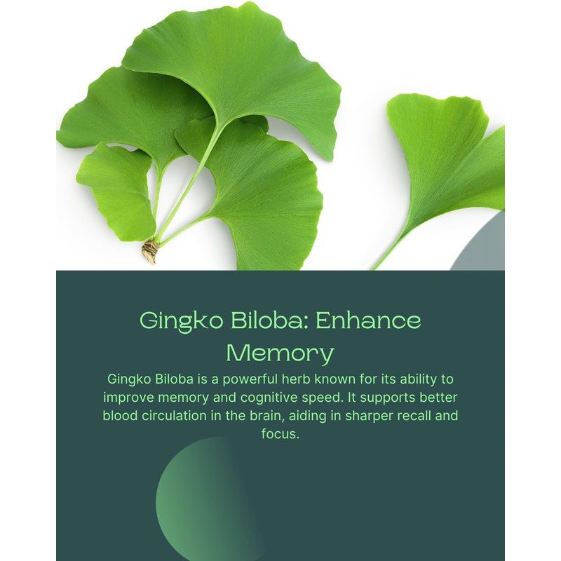 Biovello Cognitive Support Formula, 60 Capsules, with Iron, Zinc, Ginkgo