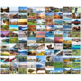 Bear and Bee 100 Landscape Postcards with 100 Different Motifs Postcards Landscapes (100 Photo Cards)