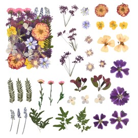 DALARAN 40 pcs Purple Flowers for Resin Model Real Dried Pressed Flowers Dry Leaves Bulk Natural Herbs Kit for Scrapbooking DIY Art Crafts, Epoxy Jewelry, Candle, Soap Making, Nails Decor