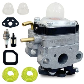 Ruixing OEM 309375009 Carburetor for Ryobi Full Crank 2 Cycle RY252CS RY253SS RY251PH MTD 753-06220A 753-06258A Homelite UT33650B 25cc 26CC Gas Weed Eater parts Craftsman 316773800 String Trimmer