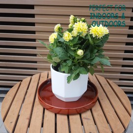 Fzfeiyy Ceramic Plant Saucer 10 Inch, Round Plant Trays for Indoors/Outdoors, Flower Pot Saucers for Holding Water Drips and Soil, Ceramic Drainage Tray for Plant Pot (Brown)