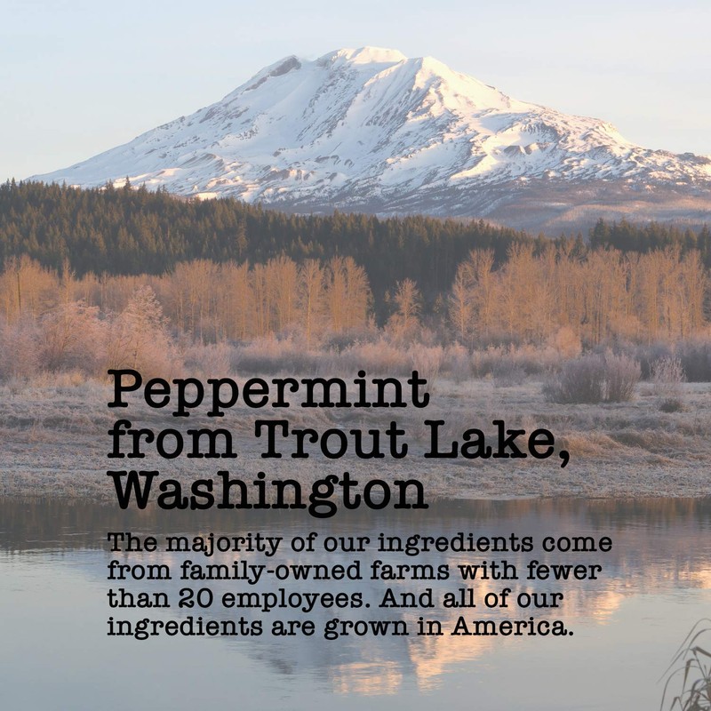 Organic Peppermint, 45-60 Servings, Eco-Conscious Zip Pouch, Caffeine Free, Pure