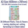 Gardening Fruit Growing Planner Poster - A3 Size & Laminated