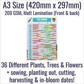 Gardening Fruit Growing Planner Poster - A3 Size & Laminated - Calendar Planner Gantt Chart for Crops, Fruit, Veg, Allotment