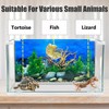 XCNO Aquarium Background Seabed Coral Rock Water Plants Fish Tank
